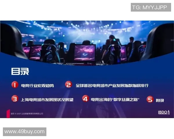 电子竞技行业的快速崛起与未来发展趋势分析及其对全球娱乐市场的深远影响 电子竞技行业的快速崛起与未来发展趋势分析及其对全球娱乐市场的深远影响